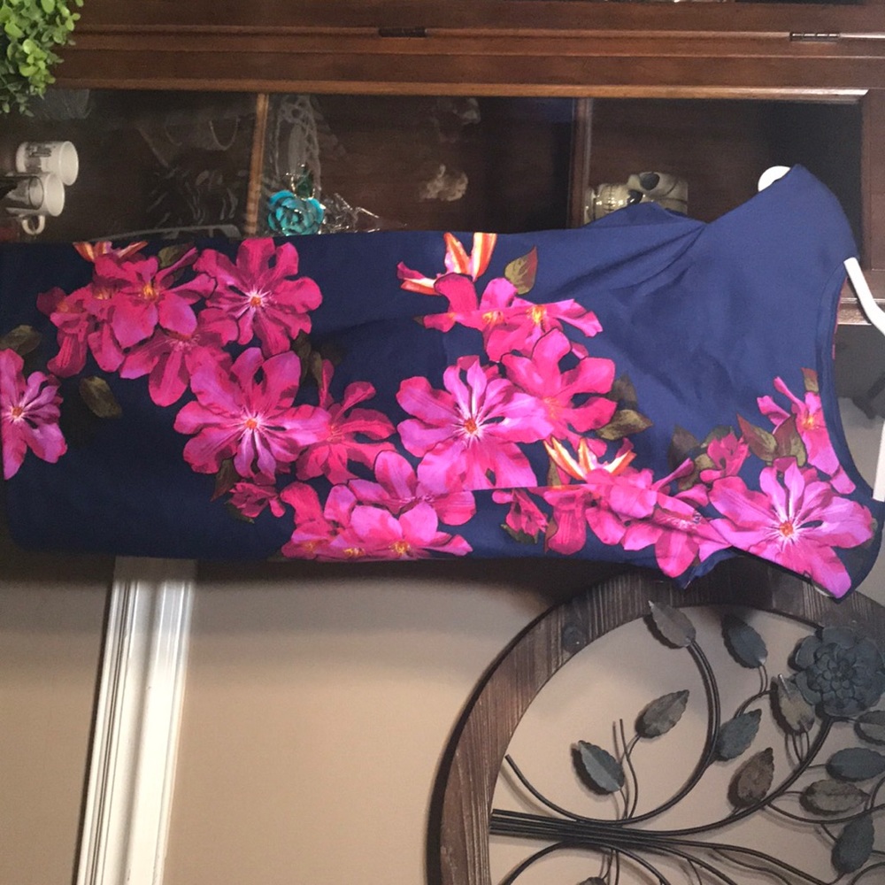 Beautiful dress. Never worn